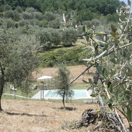 Spacious Room "Ragusana" For 2 Guests & Child Donnini Exterior foto